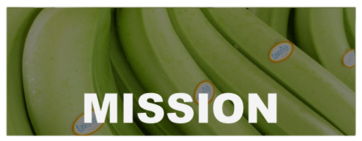 MISSION