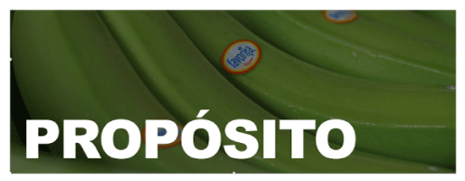 PROPÓSITO