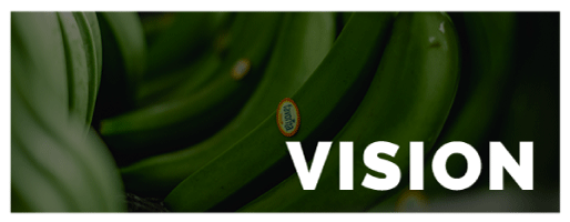 VISION